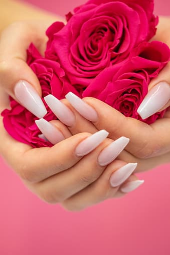 nail growth, long light pink nails, having red roses in her hands